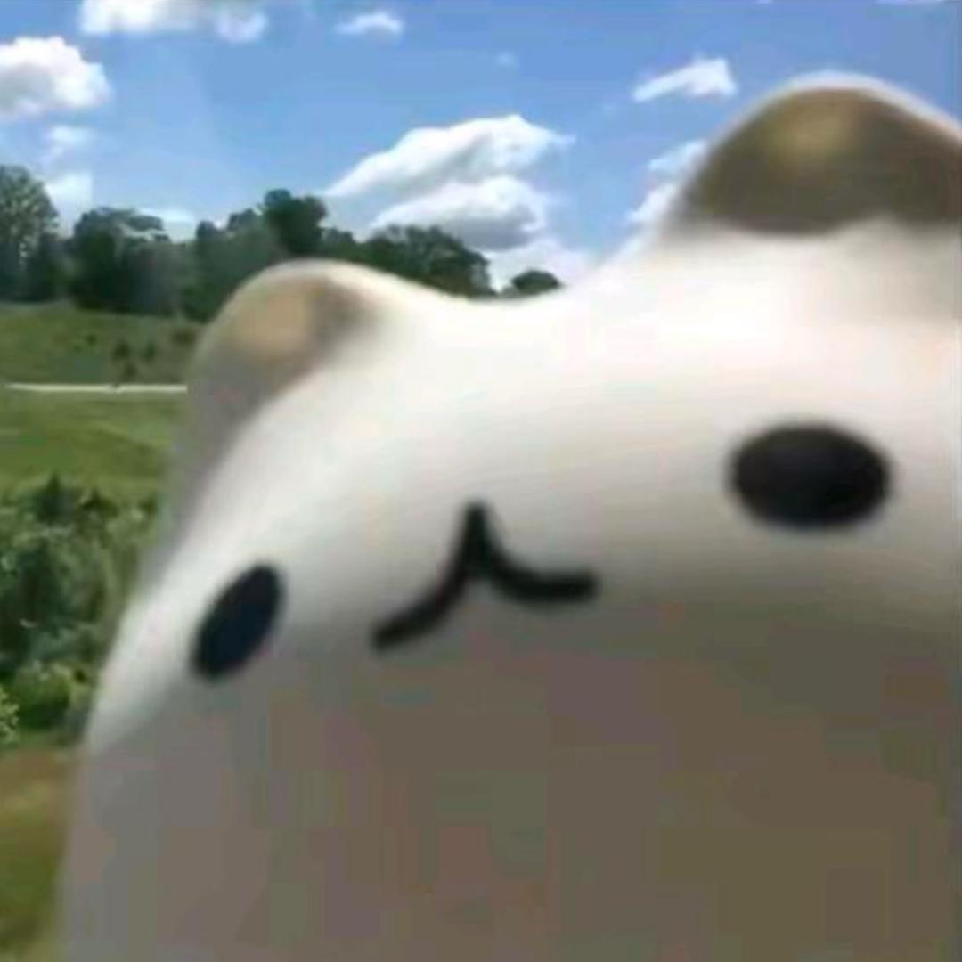 刺猬小姐