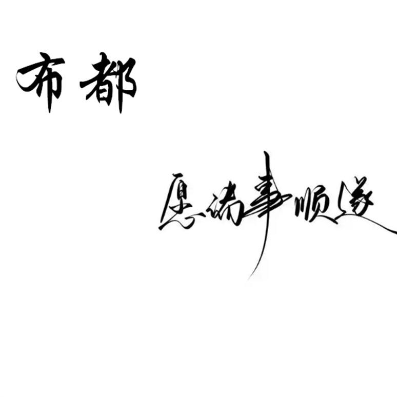 布都严选