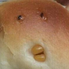 🐷按时睡觉🤯