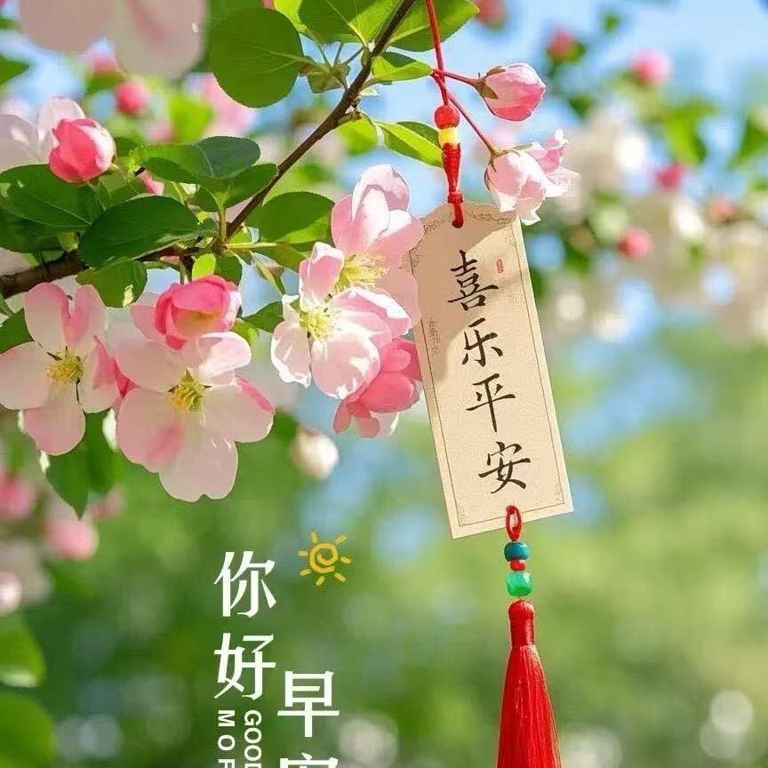 什么视频都有大全，还不进来看！？