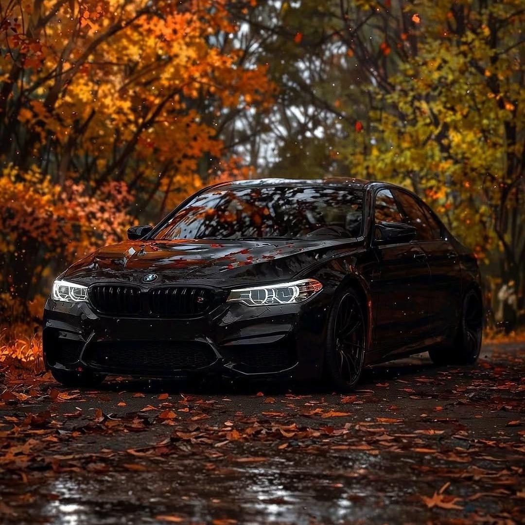 兴义车车搬运工