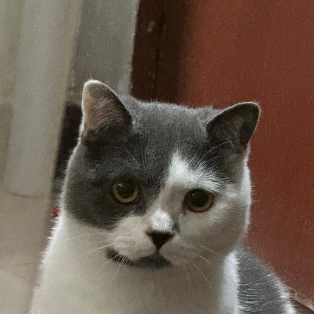 nihaoxiacizhuyiwanan