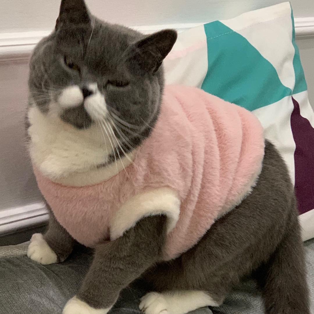 爱的丰献