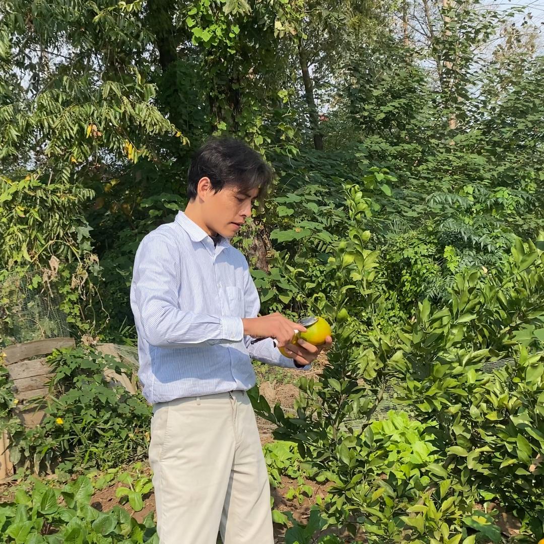 陈二狗