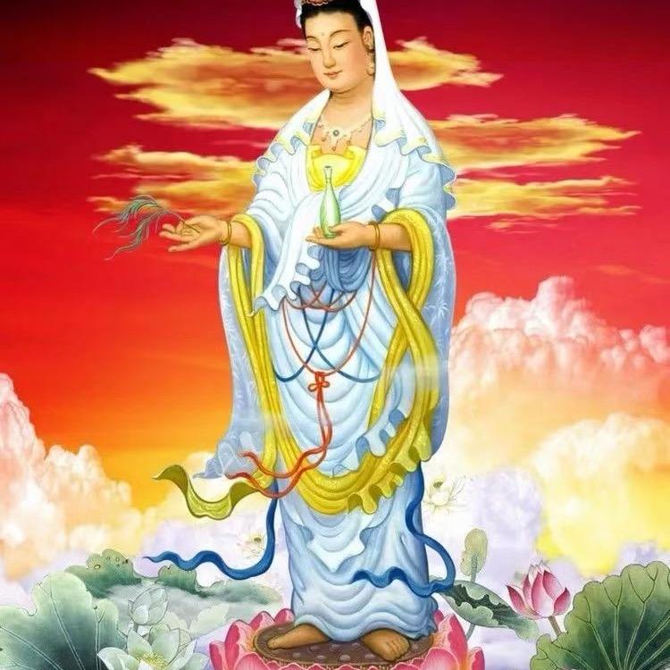 梅姨