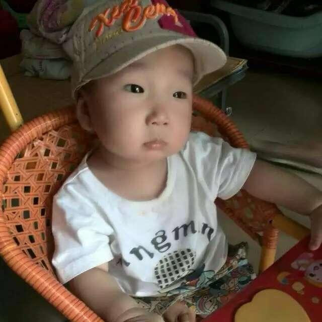 燕随峰飞