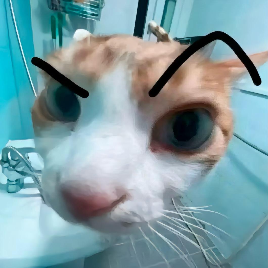 孙臣永哲哲哲哲哲哲哲哲