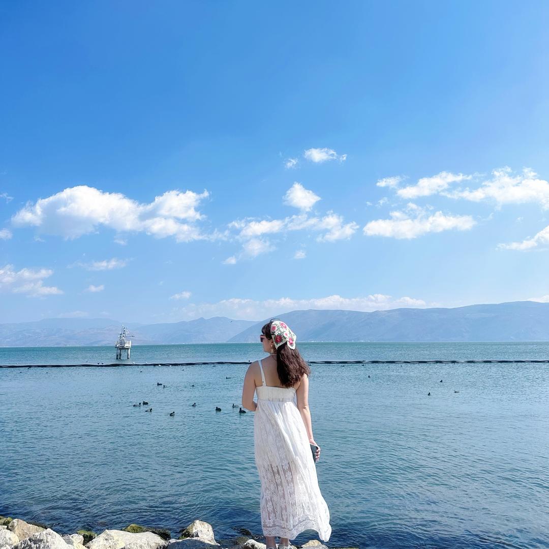 🌸贺雯雯