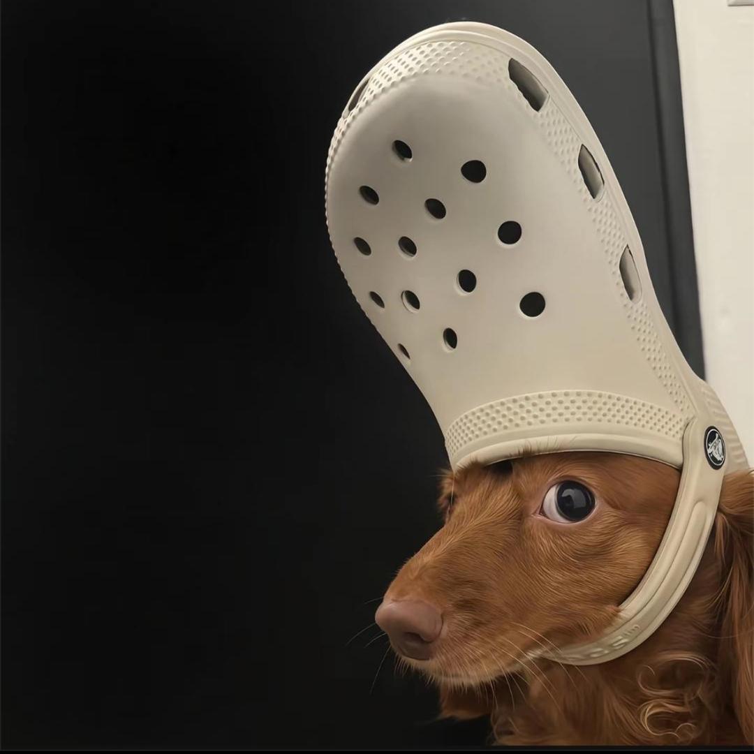 一只耳