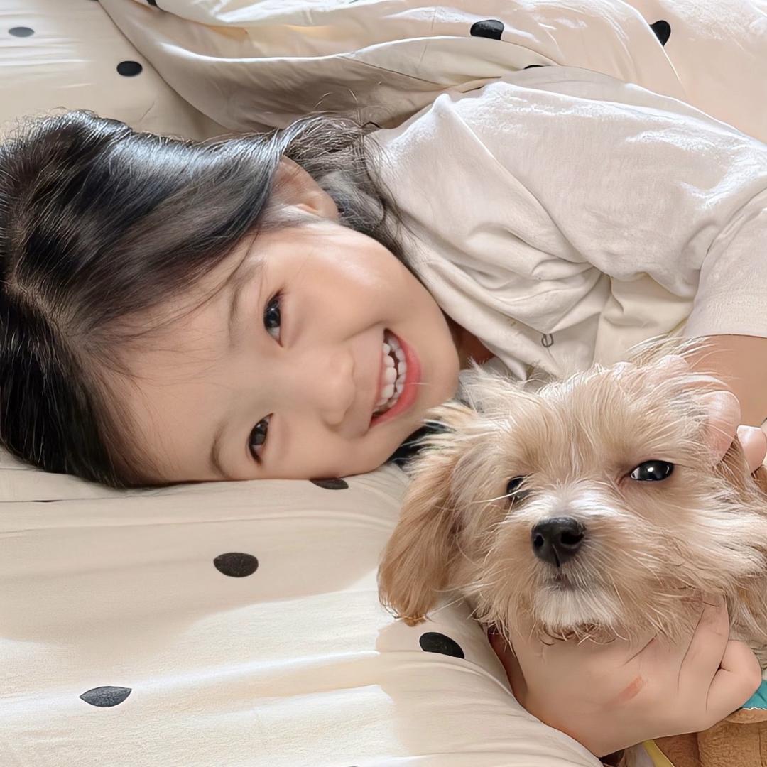 ㅤㅤ       ㅤㅤ