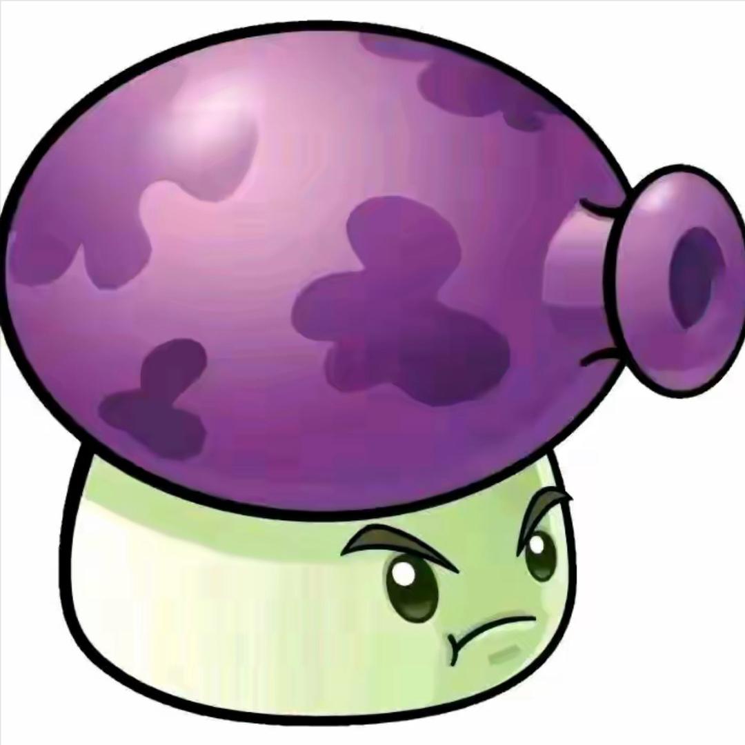 🟣 🟣🟣 🟣 🟣 🟣