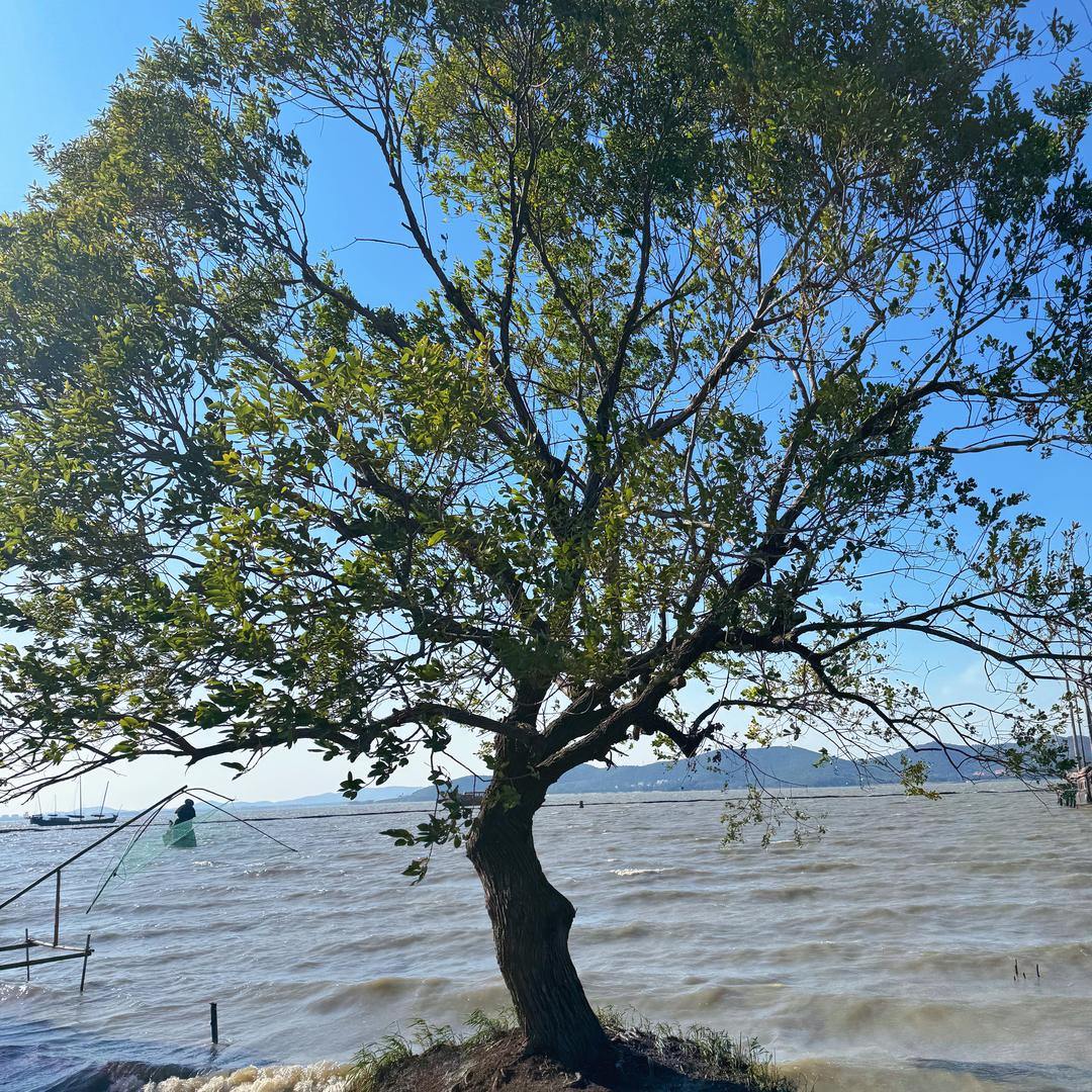 汀汀汀不懂