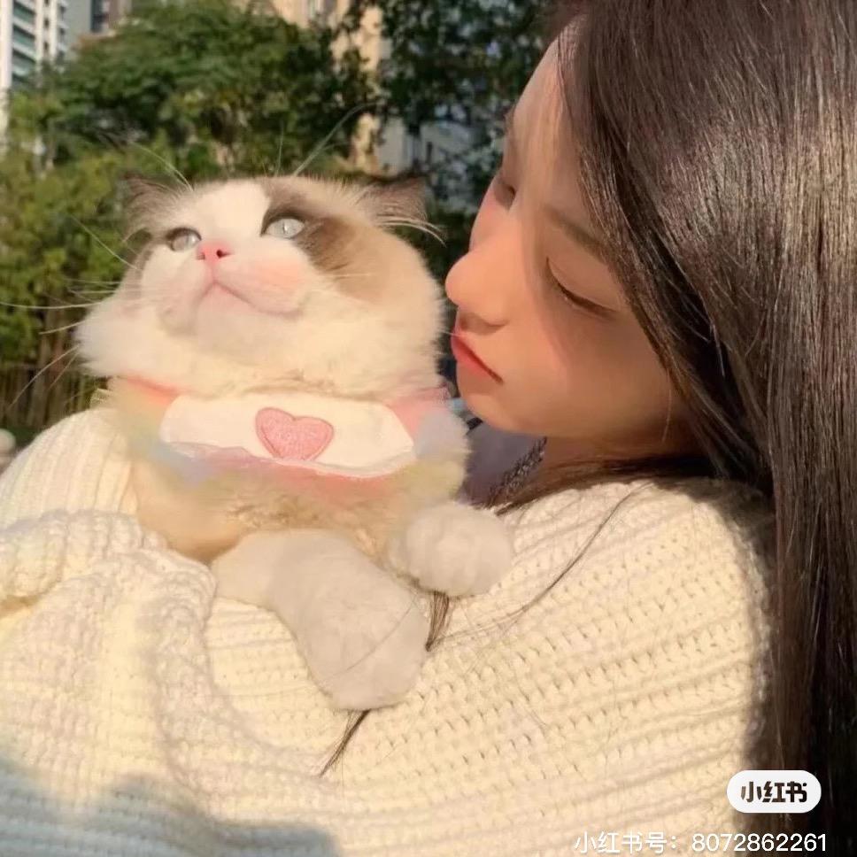 叫我小p