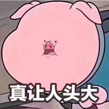 万物皆可猪