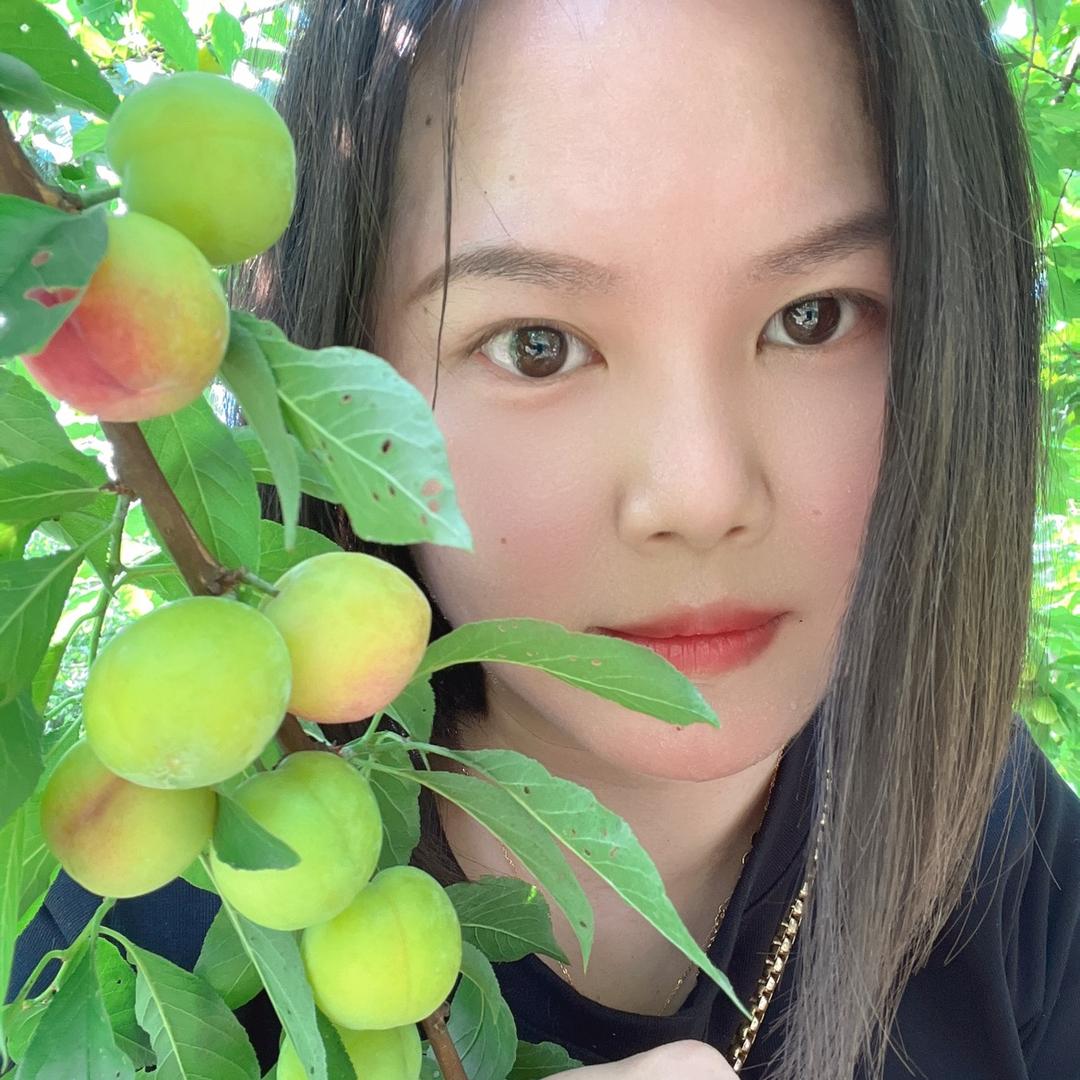 小夏夏