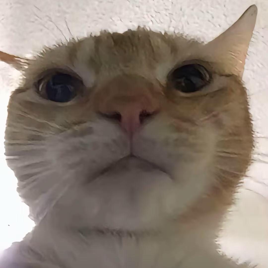只昂张¹