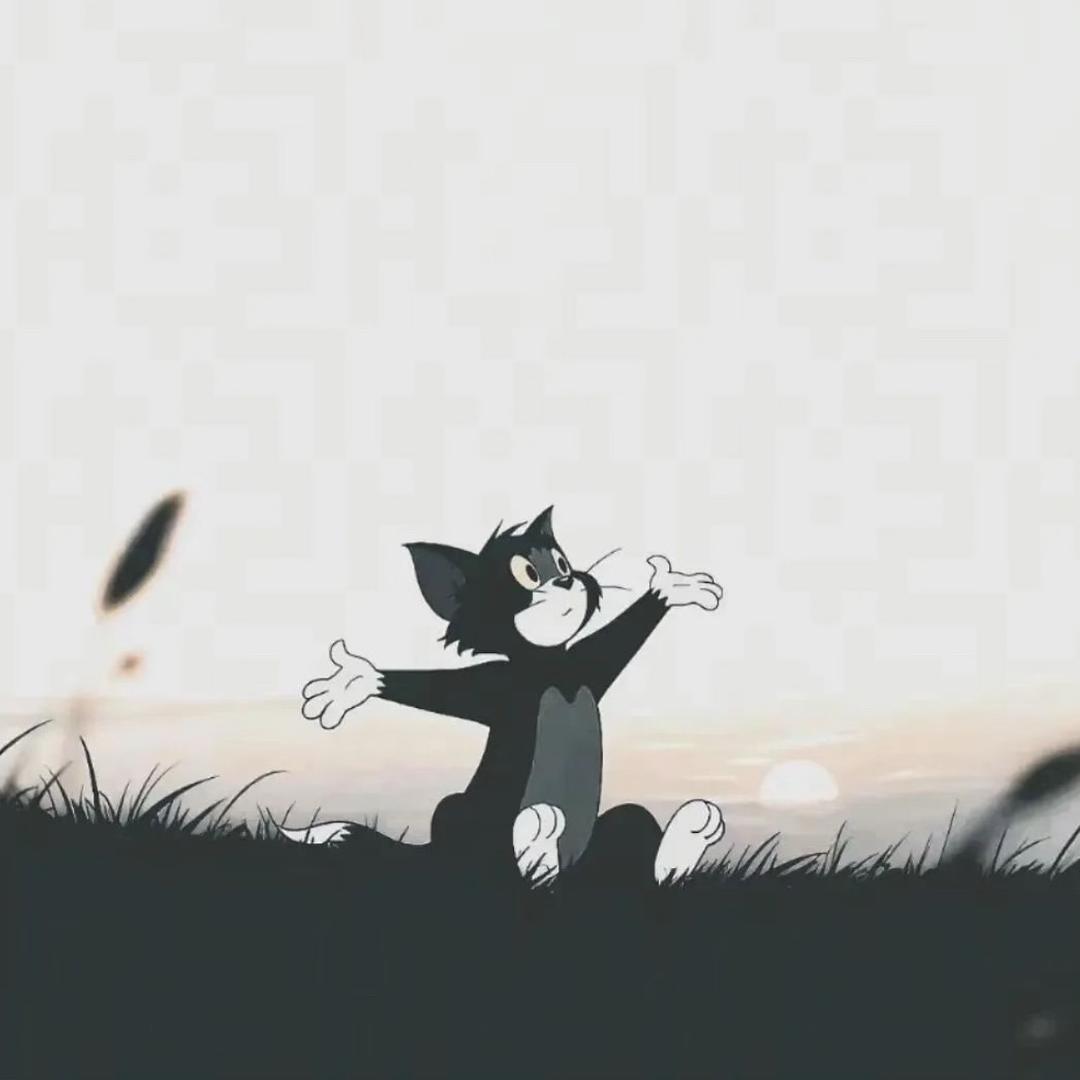 BB