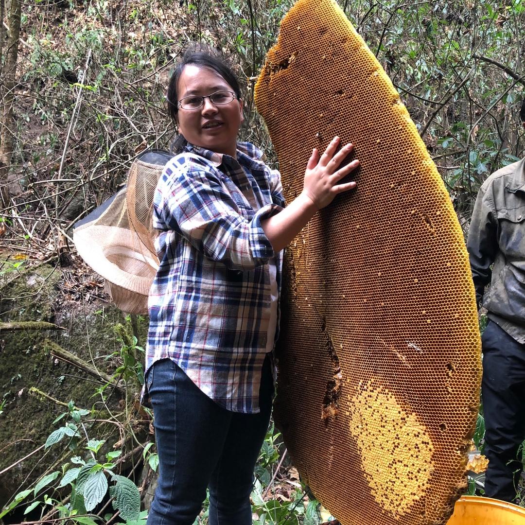 云南德宏边陲山行