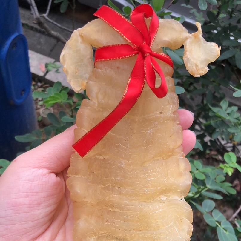 南澳蔡洁鱼胶