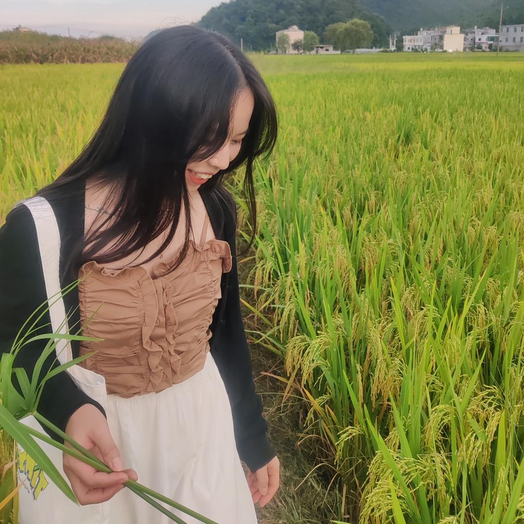 风信子