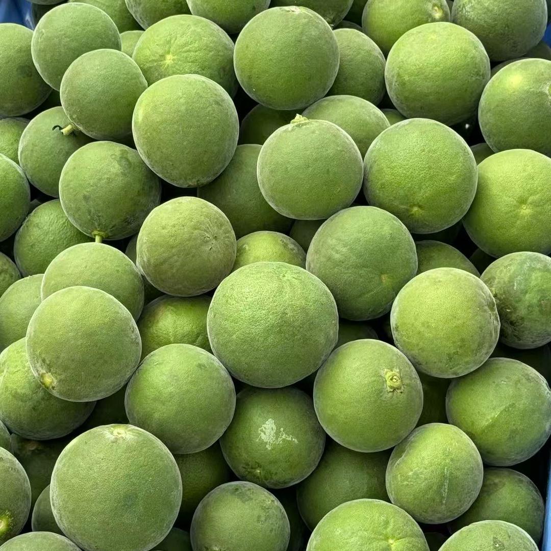 平定镇柚子化橘红