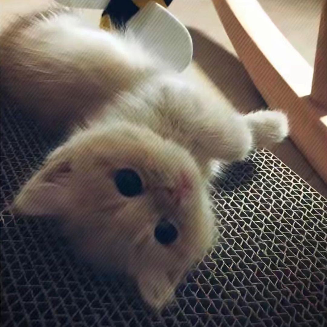 美味汉堡