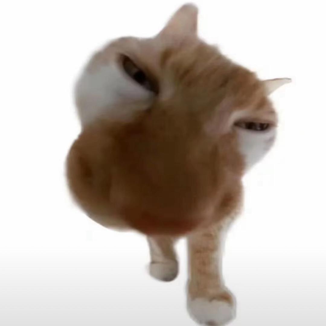 山竹（超自然行动组）