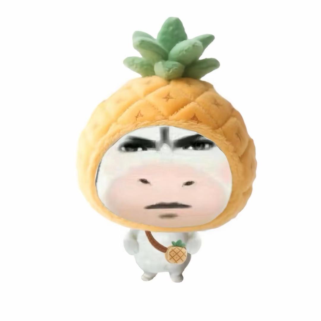 马达加斯加的企鹅