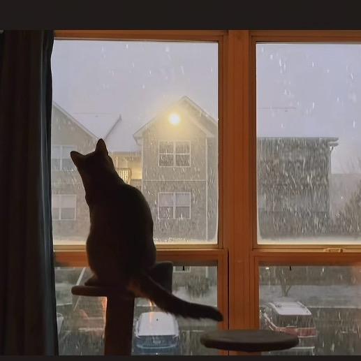 拉登是我干掉的