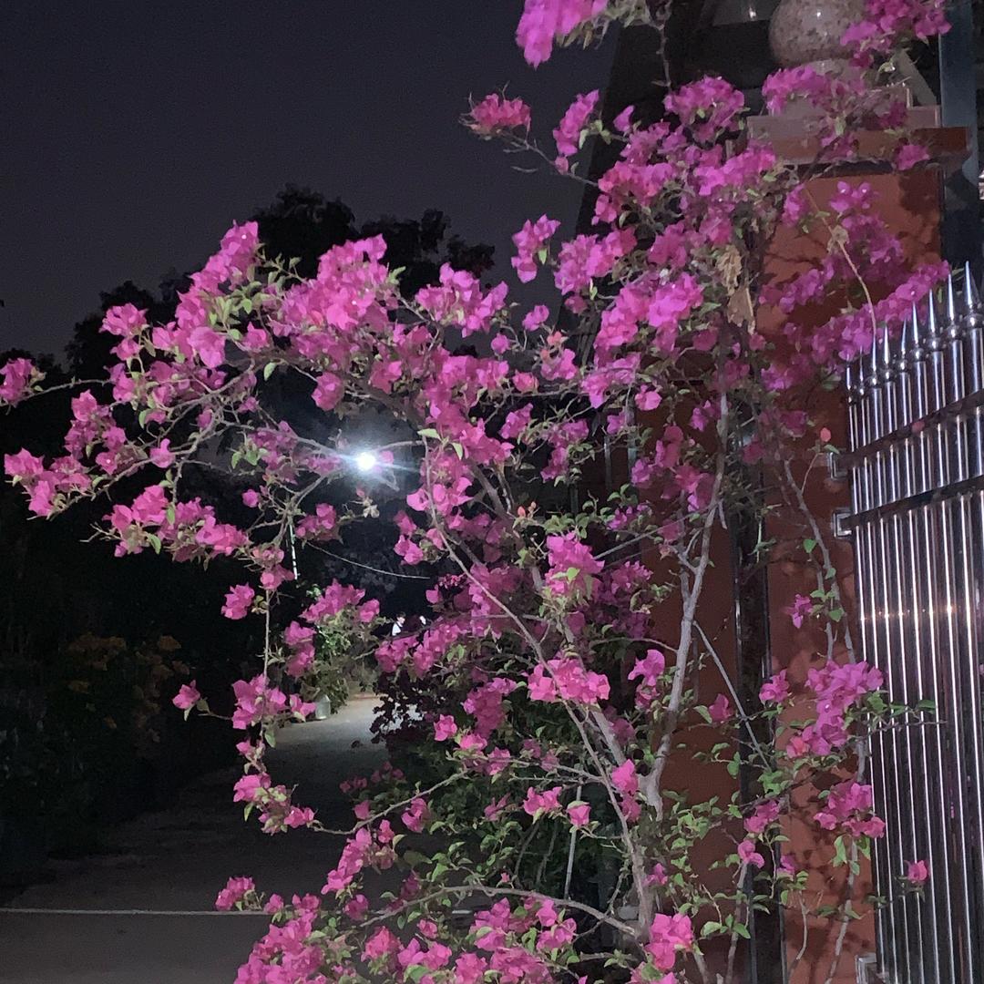 ^O^彭佳╭(╯ε╰)╮