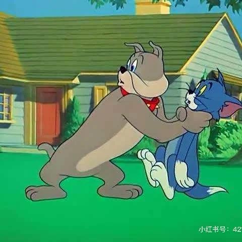 王老师A