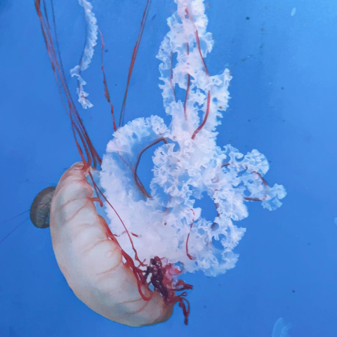 心若阳光