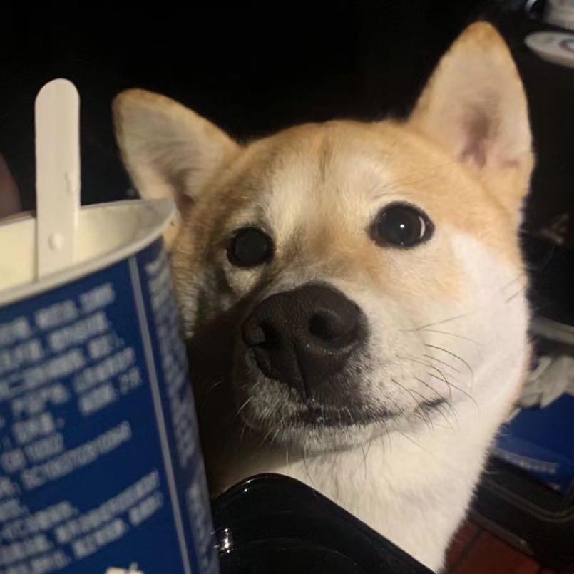 龙龙家番茄