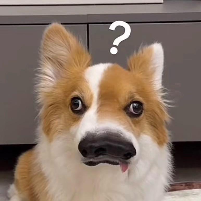 看头像就能看出来我有多聪明