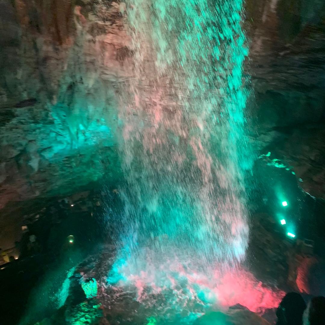 奋斗🐴🍒🧚🏼🧚🏼🧚🏼