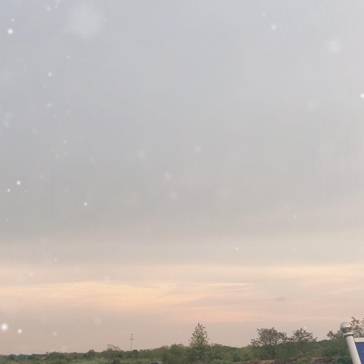 随风奔跑