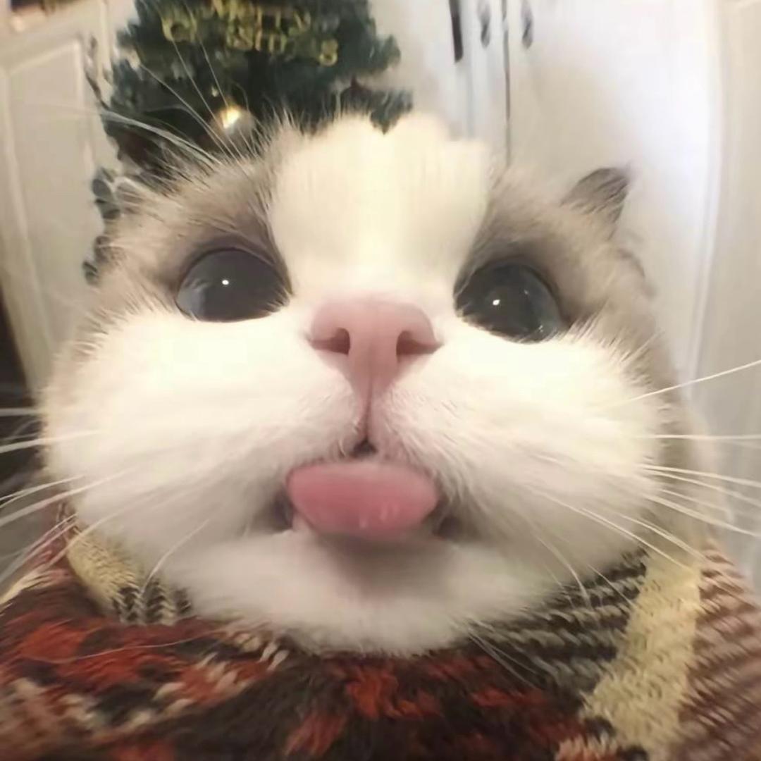 ︉︋11