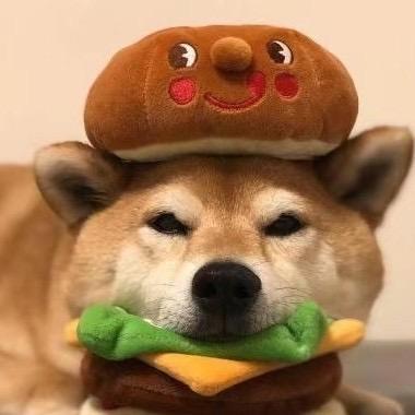 阿毅😀