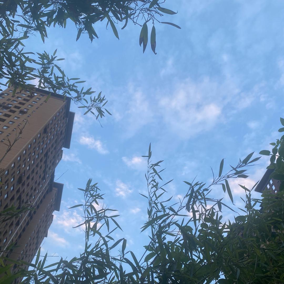 我就是我
