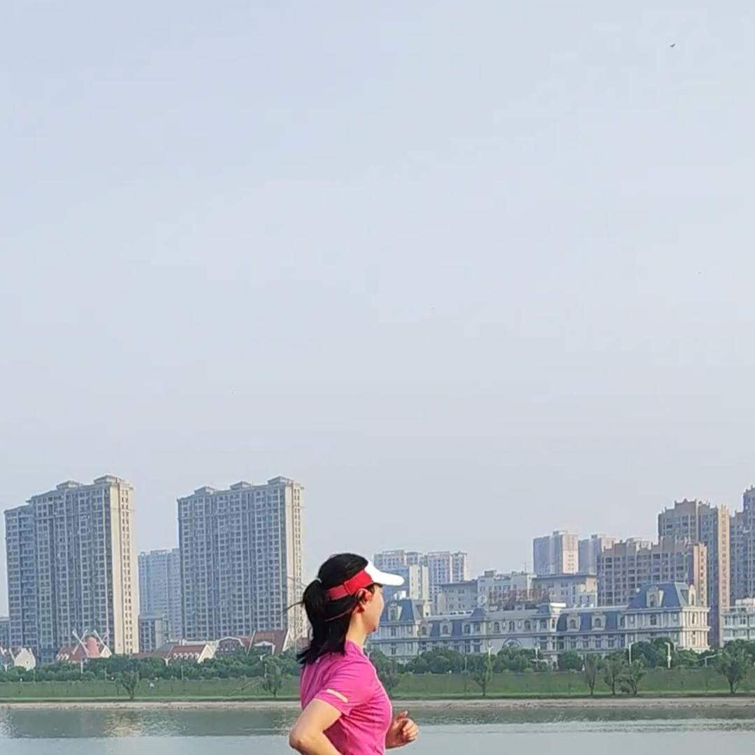 尛仙草