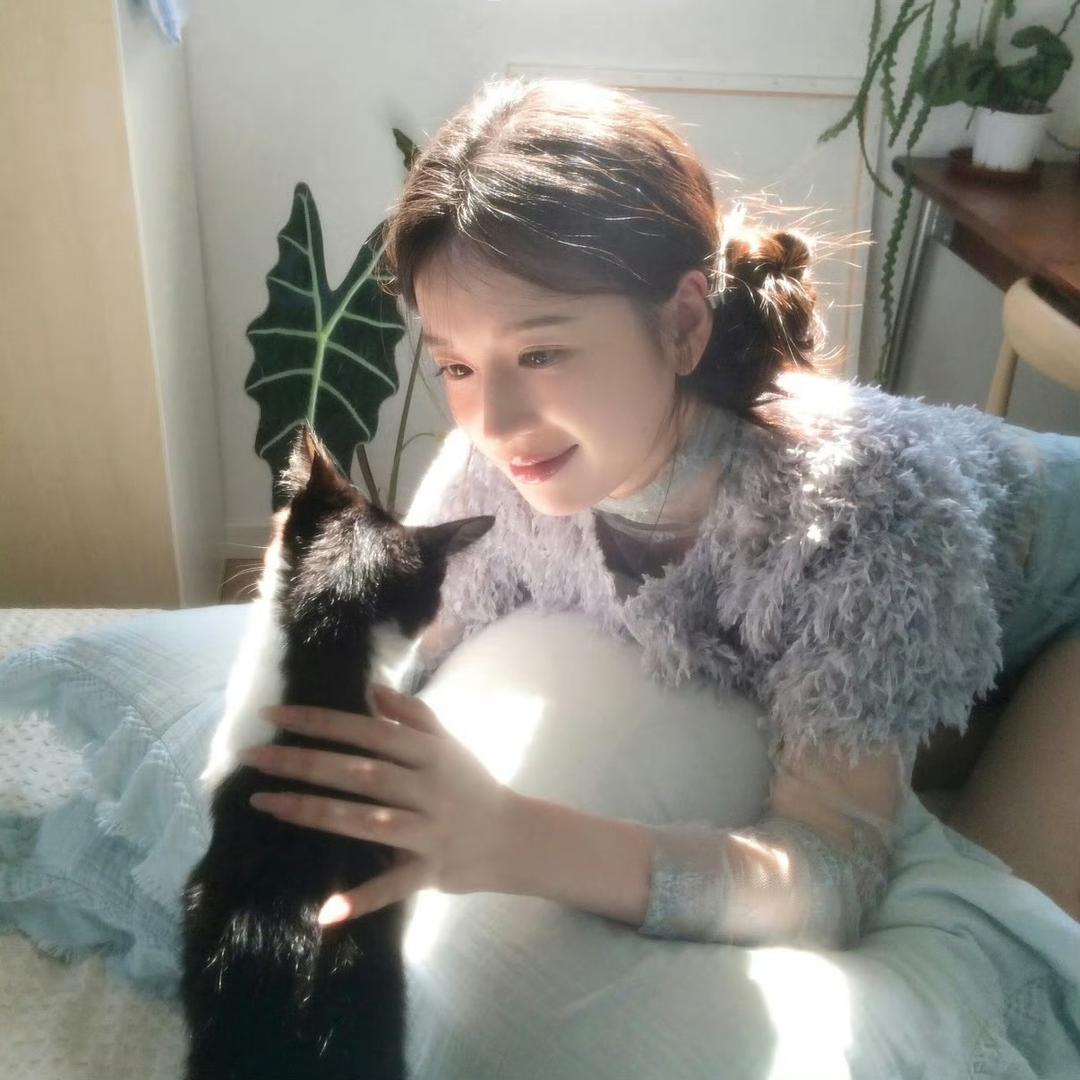 烤苹果派