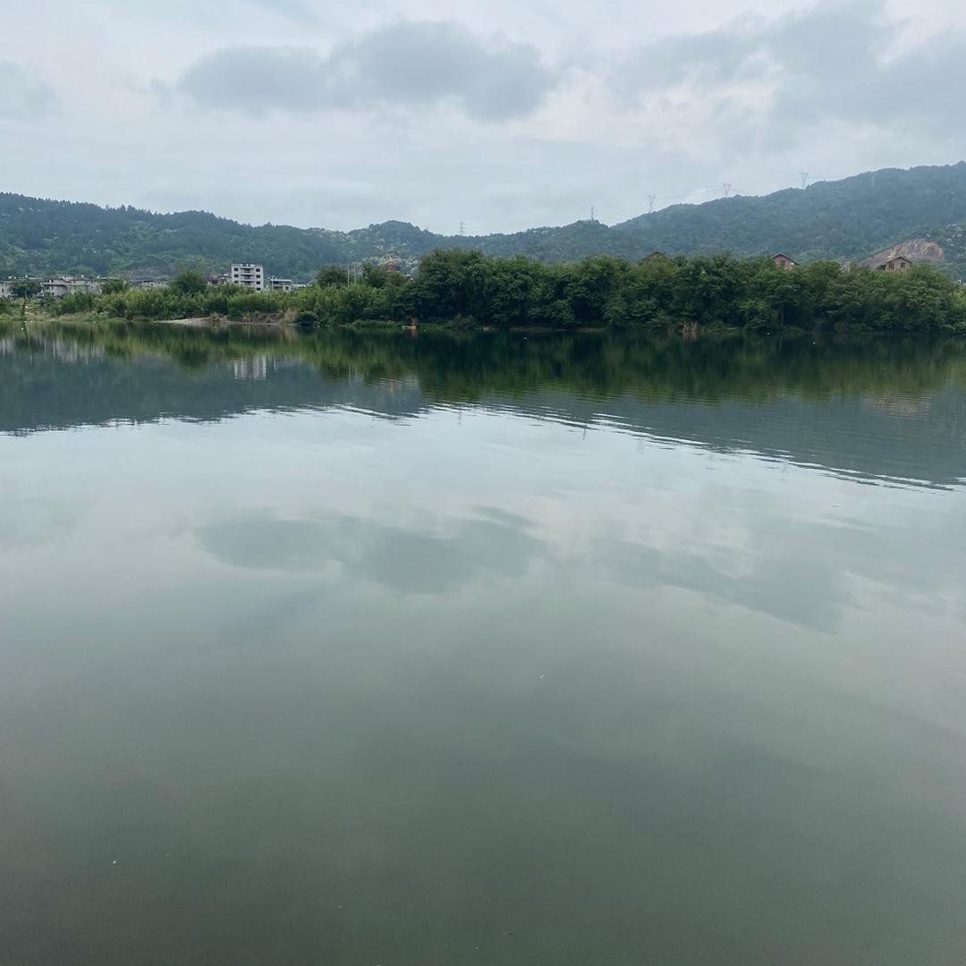 有点小钱的胖丫头