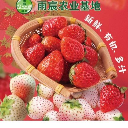 雨宸农场