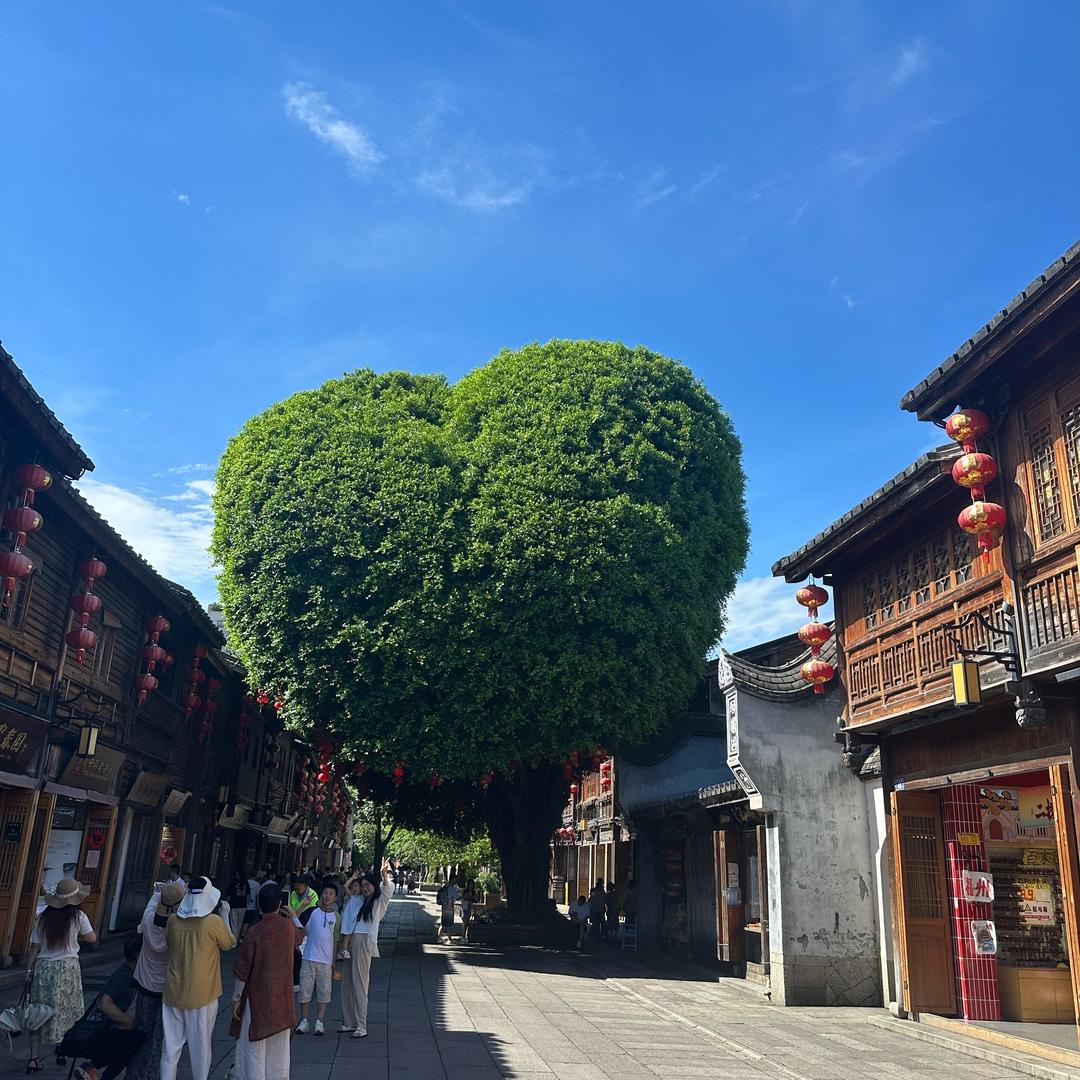 鹰潭3121