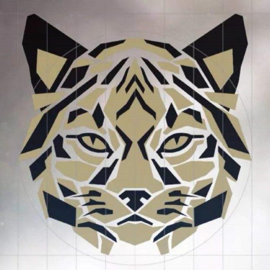 山猫游戏精彩瞬间