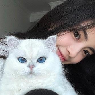 大脸猫好物😻
