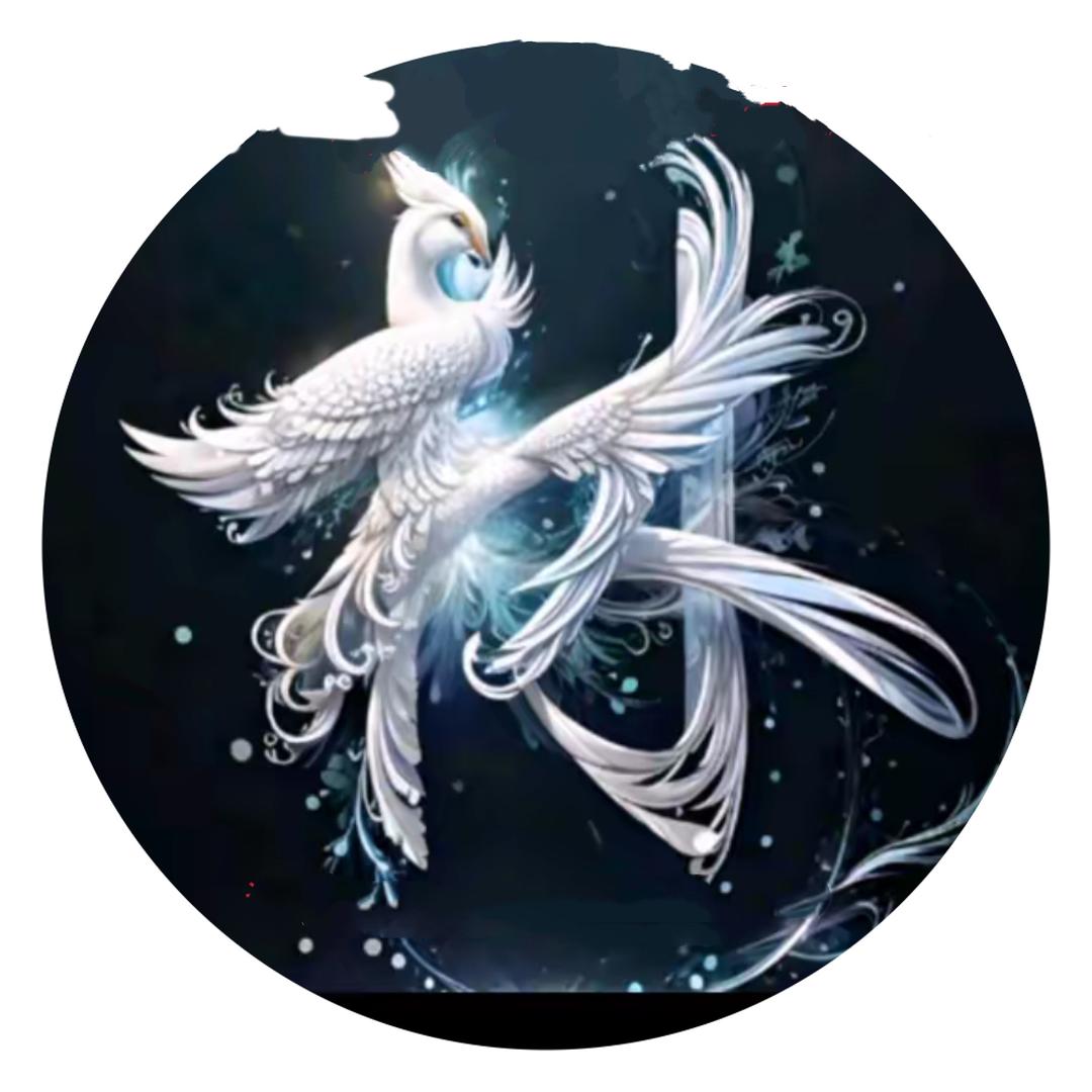 A 林记LSC阿昌