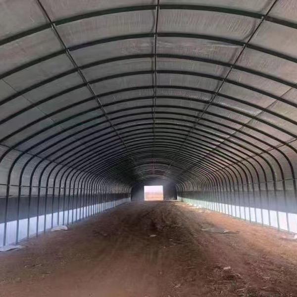 温室大棚葛葛🌸🌸🌸🌸