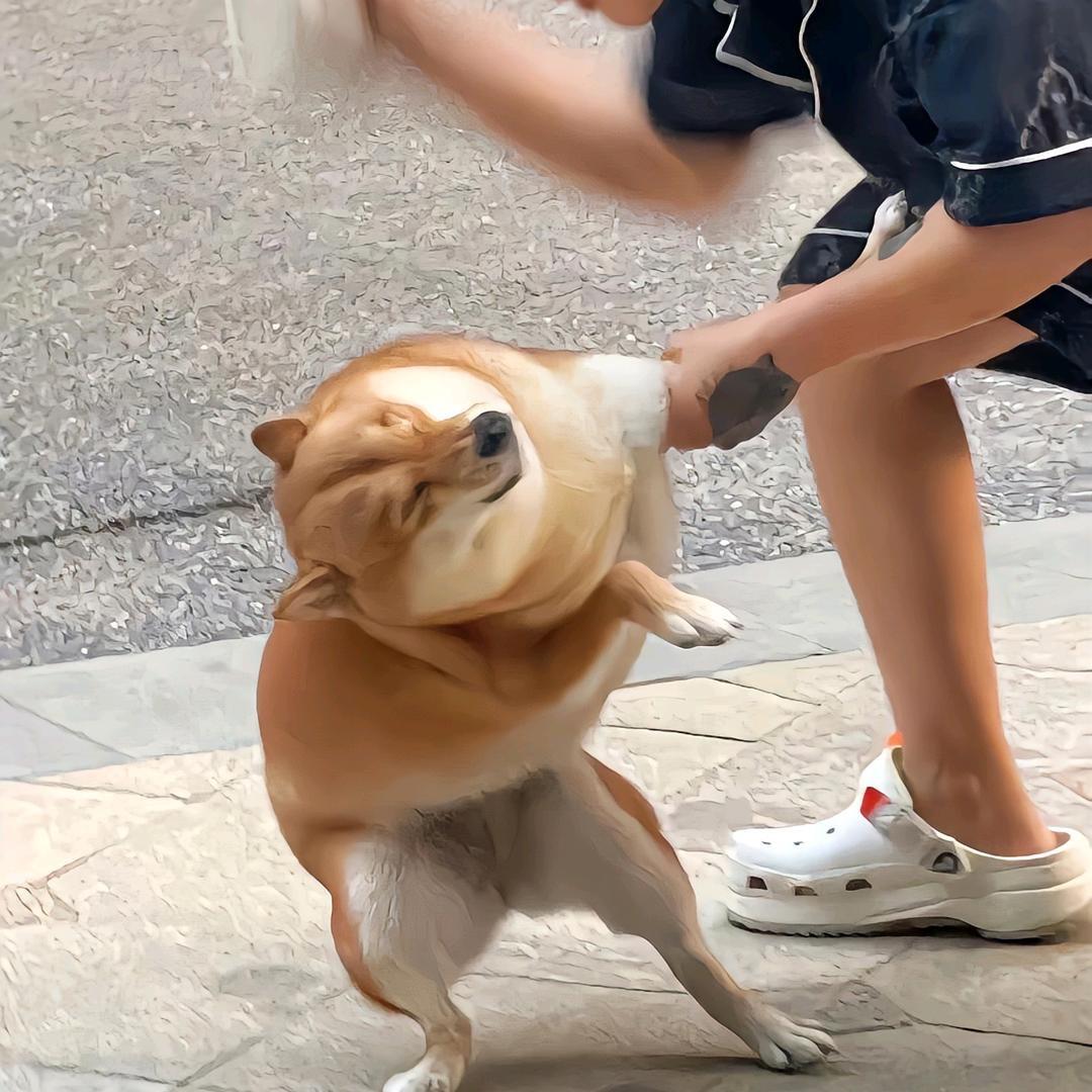 六合（三角洲行动）
