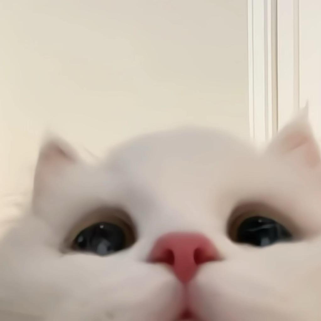 桃FFFF